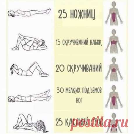 Лучшие упражнения для домашней тренировки