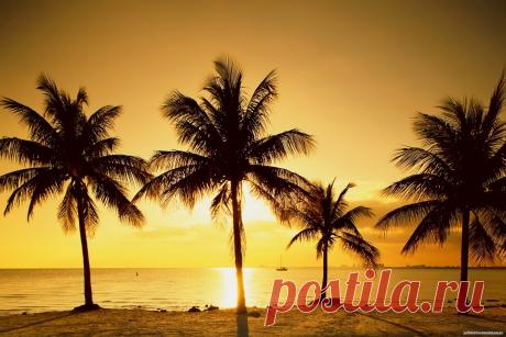 Успокаивающие картинки (37 фото) ⭐ Забавник