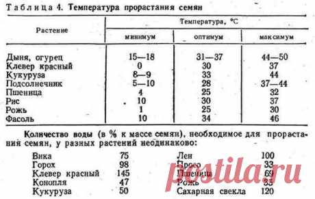 Как проверить семена на всхожесть / семена / 7dach.ru
