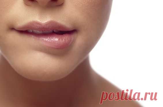 Топ-5 натуральных бальзамов для губ, отзывы :: Мультимедийный фитнес-клуб «ЖИВИ!» — JV.RU