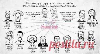 (28) Одноклассники