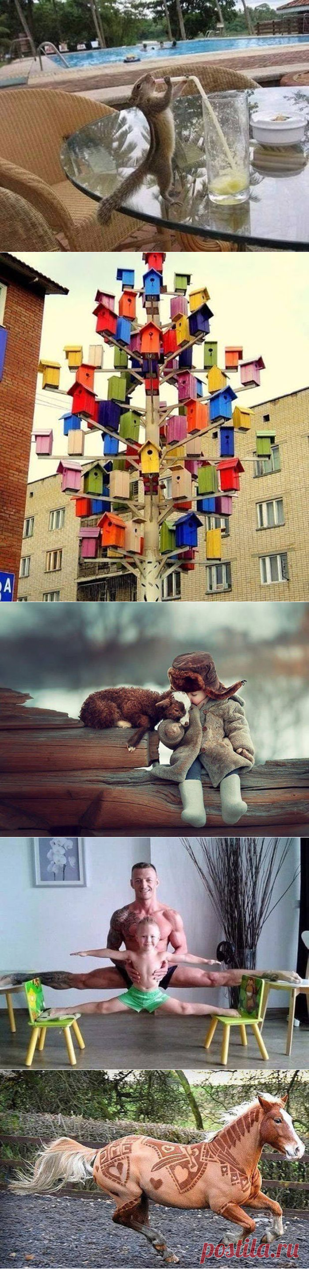 Коллекция эмоциональных снимков