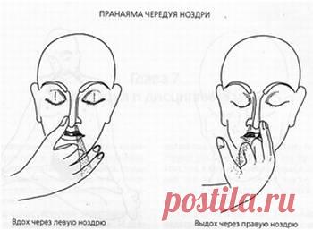 Нади Шодхана пранаяма. Попеременное дыхание через ноздри