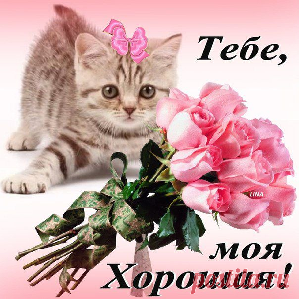 0_836fa_c4b3893a_XL.jpg (604×604)