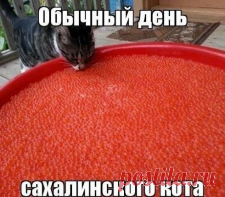 Савелий: Приглашаю ВАС прогуляться по ПАРИЖУ!!!!!!! https://www.gillesvidal.com/blogpano/paris.htm
Жизни цени золотые мгновенья,
Каждой минутой её дорожи,
В замыслах пусть помогает везение,
Курс на успех и удачу держи.
Двигайся смело к назначенной цели,
К дальним своим горизонтам стремись,
Чтобы мечты воплотиться сумели,
Чтобы любые желанья сбылись!
