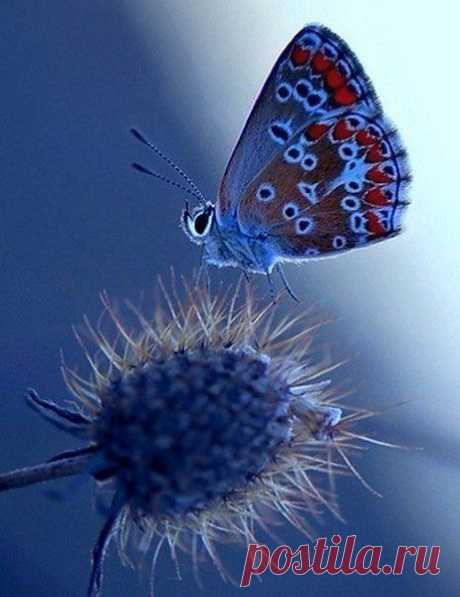 Интересные новости