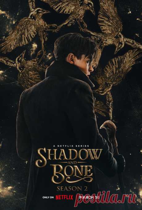 Фредди Картер