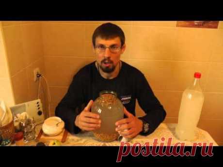 Квас из овса