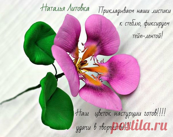 мастер-класс Натальи Литовка "Настурция из фома" - Nebka.Ru