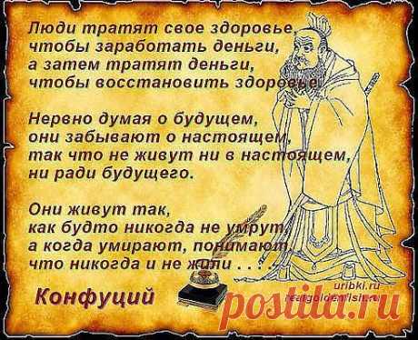 Мудрые высказывания