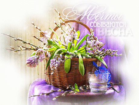 Мой Мир@Mail.Ru