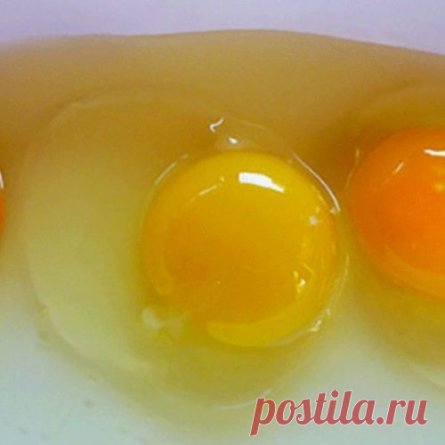 Какого цвета должны быть яичные желтки