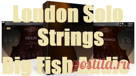 Big Fish Audio London Solo Strings v2.0.0 KONTAKT September 17, 2025 | 2,07 GB

We are happy to present to you London Solo Strings by Big Fish Audio at Audio Club. It is not a simple string library. It is a compilation that provides you with the authentic voice of violin, viola, cello, and contrabass in an amazing detail

DOWNLOAD AT: https://audioclub.store/samples/london-solo-strings/