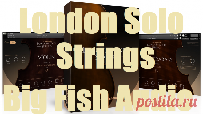 Big Fish Audio London Solo Strings v2.0.0 KONTAKT September 17, 2025 | 2,07 GB

We are happy to present to you London Solo Strings by Big Fish Audio at Audio Club. It is not a simple string library. It is a compilation that provides you with the authentic voice of violin, viola, cello, and contrabass in an amazing detail

DOWNLOAD AT: https://audioclub.store/samples/london-solo-strings/