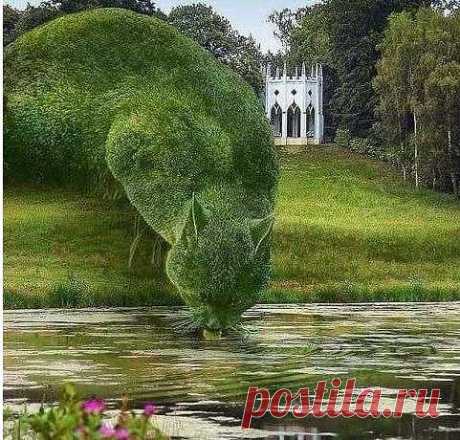 (80) Одноклассники