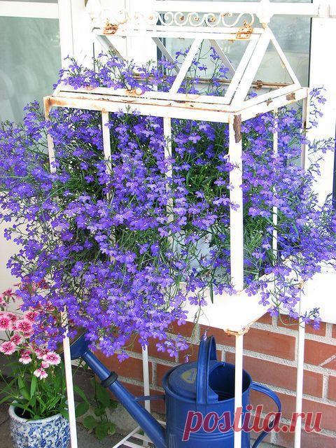 Найдено на сайте flickr.com.