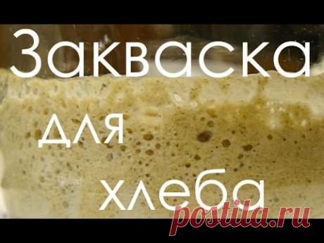 Домашняя ржаная закваска без дрожжей Рецепт закваски для хлеба видео