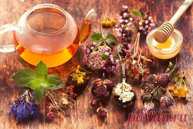 Натуральный бальзам, для повышения иммунитета Пить этот бальзам можно также при весенней усталости, после операций и тяжелых заболеваний, для укрепления иммунитета.