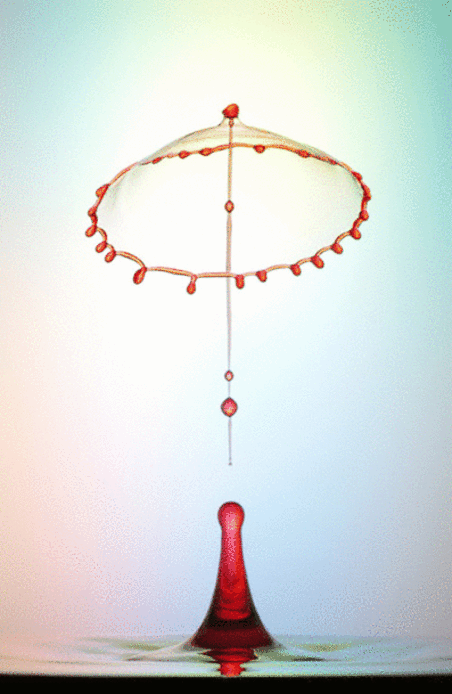 h-2067.jpg (397×609)