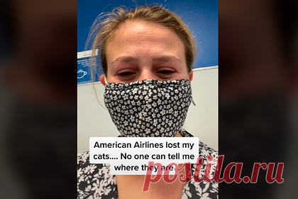 Авиакомпания потеряла котов пассажирки при перевозке и забыла извиниться. Авиакомпания потеряла двух котов пассажирки при их перевозке в грузовом отсеке самолета и забыла извиниться за причиненные неудобства. 1 августа американка Ариэль Дейл (Ariel Dale) вылетала из Лос-Анджелеса в Нью-Йорк и намеревалась взять с собой двух своих котов. Для этого она купила питомцам билет на самолет.