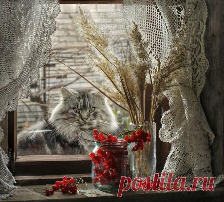 Фотограграф Светлана Павловская. Натюрморты для души и настроения.