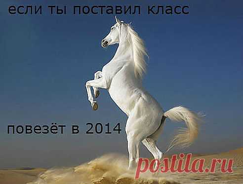 (39) Одноклассники