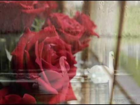 GIOVANNI MARRADI  - I Love You