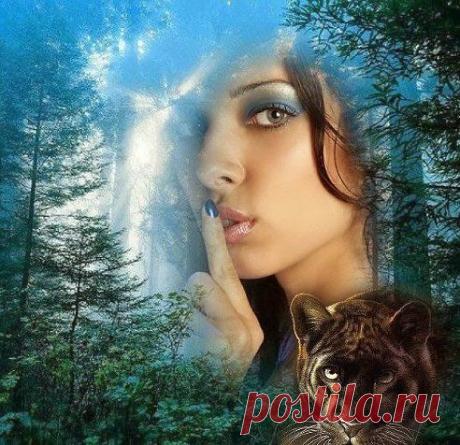 Не кричите, говорите шепотом... - Стихи - Женский Мир