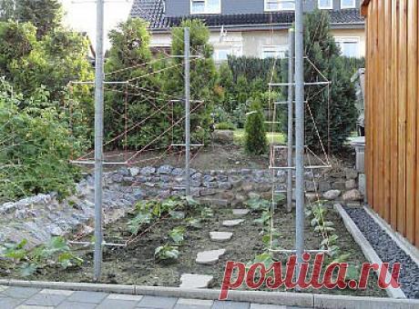 Одноклассники