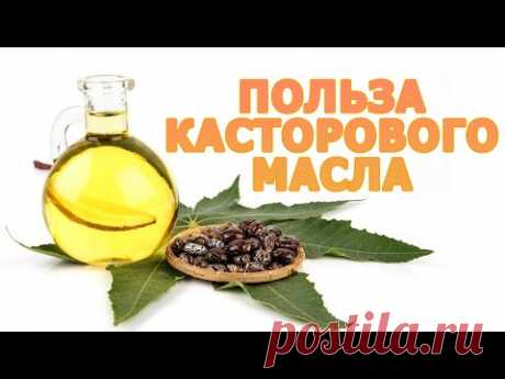 ОТ ЧЕГО ПОМОГАЕТ КАСТОРОВОЕ МАСЛО