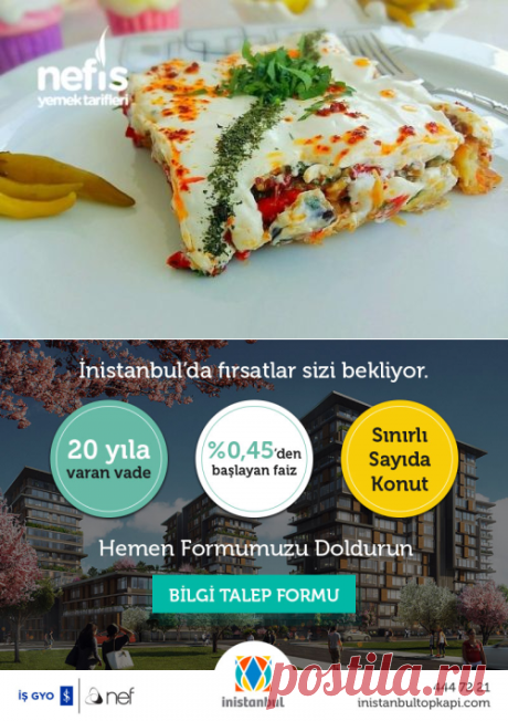 Etimekli Yoğurtlu Gün Salatası - Nefis Yemek Tarifleri