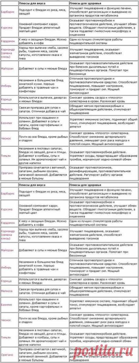 Elmika - путешествие к здоровому питанию