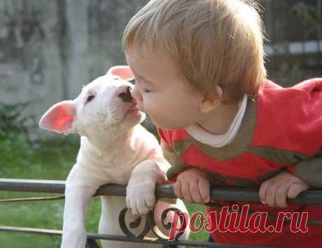 МИР ПОЗДРАВЛЕНИЙ И ОТКРЫТОК...
☂ ツ Galina ツ☂