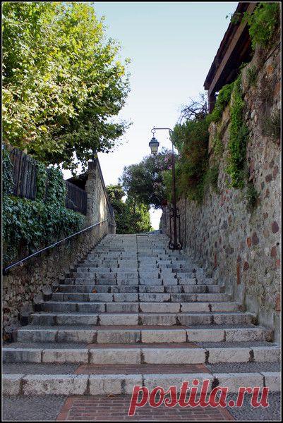 Лазурный берег, Канны. | Фотографии Светлана Верхошинская | 8083 фото