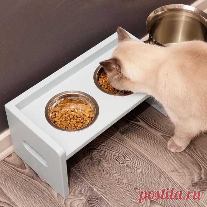 Самодельная кормушка для кота или небольшой собаки — Своими руками