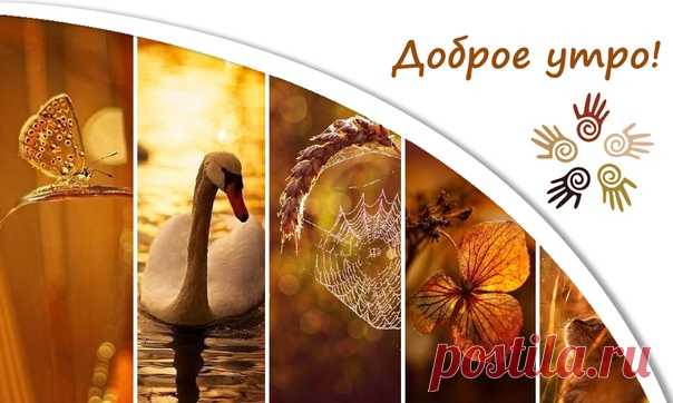 Не важно, как другие расценят ваши поступки. Продолжайте проявлять любовь и доброту. Не ради них... ради себя.