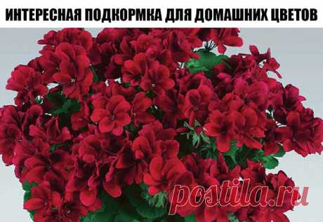 Новости - МирТесен