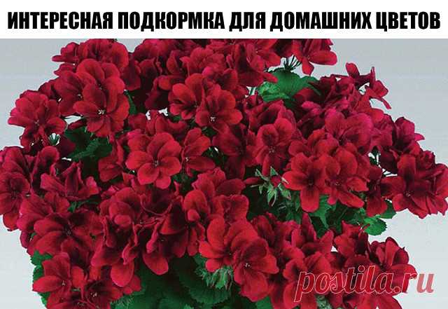 Новости - МирТесен