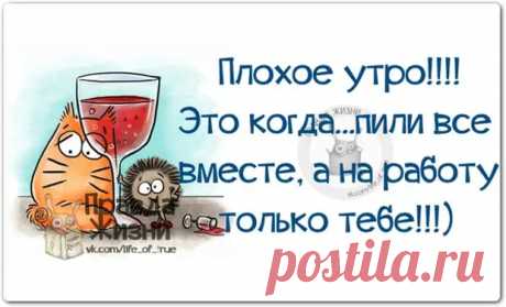 Прикольные фразочки в картинках - медиаплатформа МирТесен