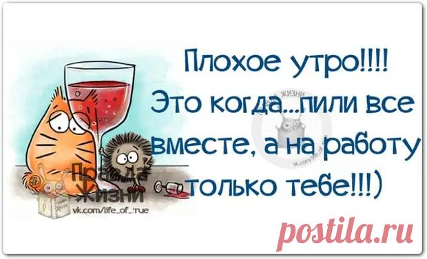 Прикольные фразочки в картинках - медиаплатформа МирТесен