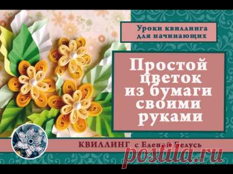 ●СОБИРАЕМ КОЛЛЕКЦИЮ●
Какой опытный квиллер не делал простого цветка из роллов капелька? Поднимите руку, если есть такие?

Думаю, что таких мастеров не найдётся. Ведь ролл капелька - это основной элемент в квиллинге. И самое простое, что из него можно сделать - это цветок.

А вот вариантов цветка может быть огромное количество! Давайте соберём коллекцию простых цветков! Разного цвета, разного размера, с разным количеством лепестков, двухцветные и трёхцветные... Покажите в k...