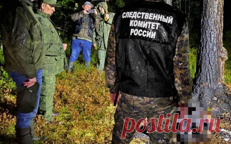 В Ленинградской области нашли обгоревшие тела женщины и ребенка. В Выборгском районе Ленинградской области в лесу обнаружены тела двух человек, сообщило региональное управление Следственного комитета.