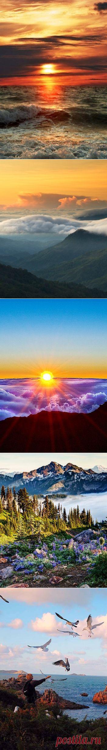 Заставки на телефон. Очень красивые и много(48 штук)