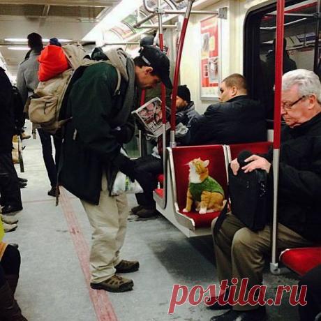 -Здесь можно присесть?