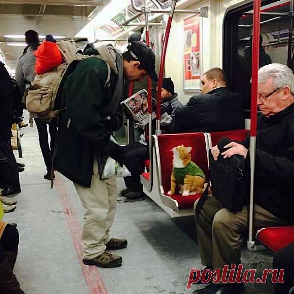 -Здесь можно присесть?