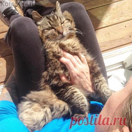 Как я обожаю выходные...