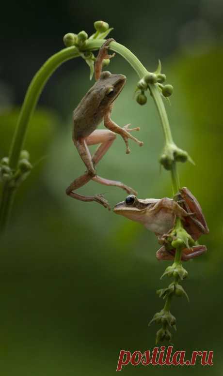 (281) Pinterest