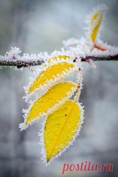 Найдено на сайте 500px.com.