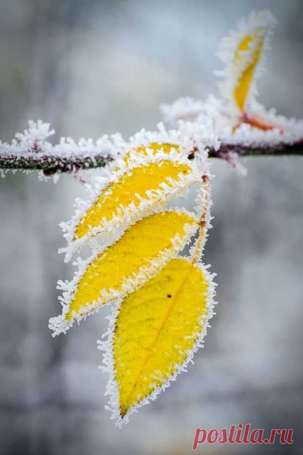 Найдено на сайте 500px.com.