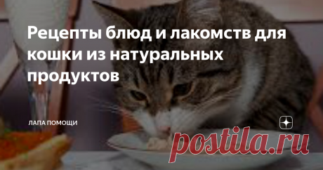 Рецепты блюд и лакомств для кошки из натуральных продуктов Рецепты приготовления блюд для кошек
Выбрав натуральное питание для питомца, хозяин кошки должен определить,  какие продукты он будет использовать и что необходимо его кошке.
Ка